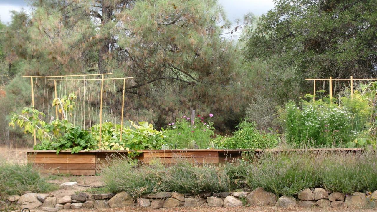 Yosemite Rose Bed And Breakfast 그로블런드 외부 사진